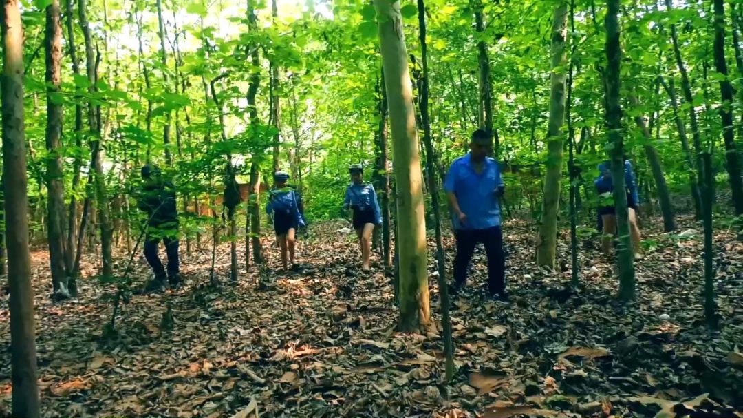 定拍转公映《毒蝎林潇琦末日》第四集 林潇琦在看押期间偷偷用发卡打开镣铐和同伙打晕看守逃出看守所最后在野外再次被捕