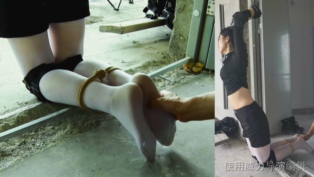 《女侦探蒙难记》（上部）