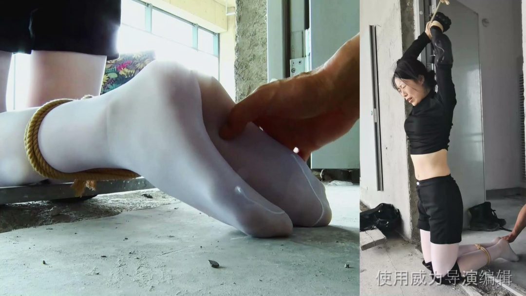 《女侦探蒙难记》（上部）