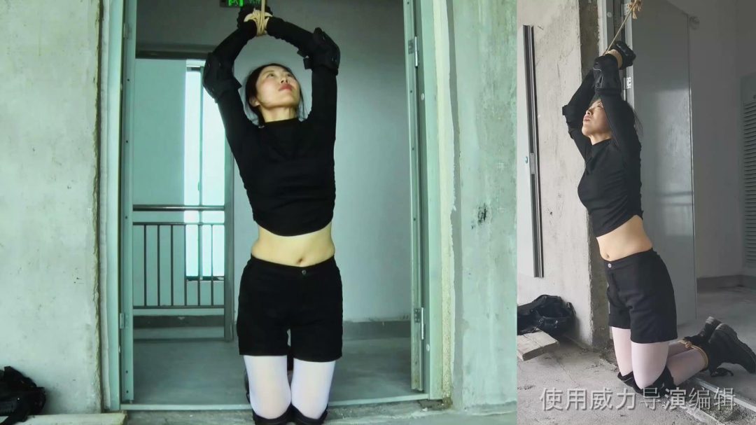 《女侦探蒙难记》（上部）