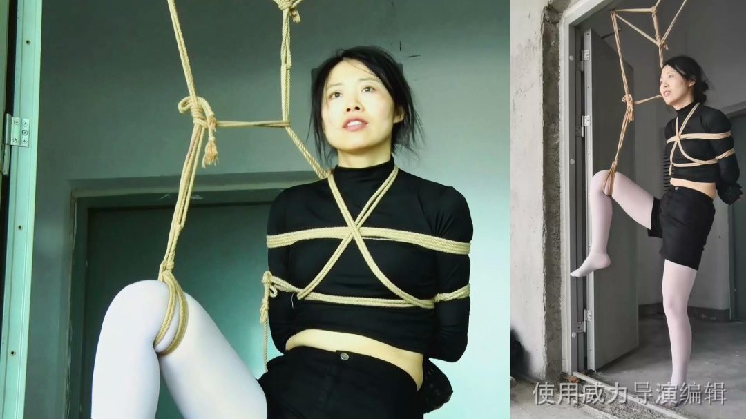 《女侦探蒙难记》（上部）