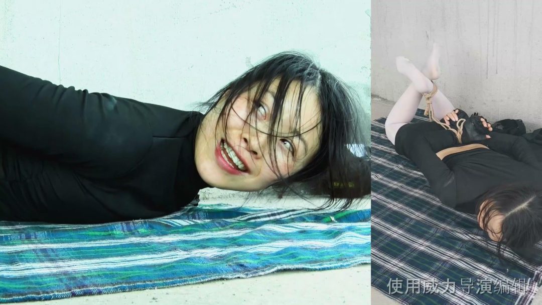 《女侦探蒙难记》（上部）