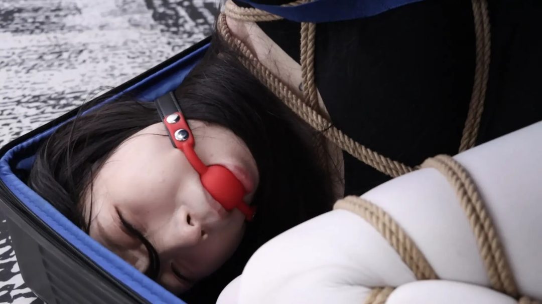 DID情节片 初雪劫