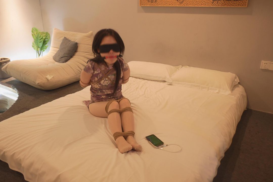 小鱼定拍（放置）