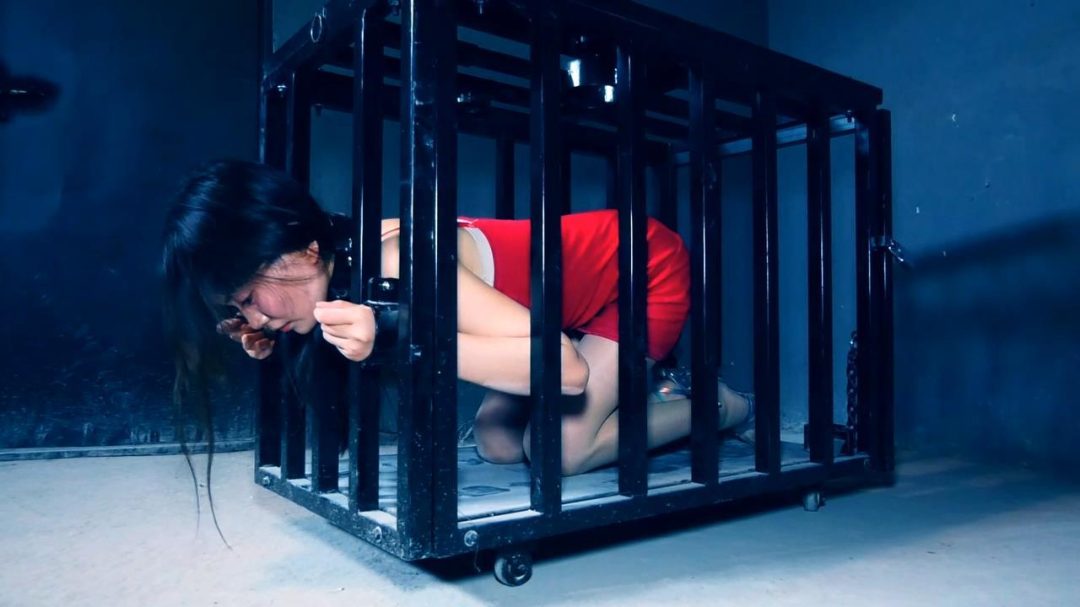 定拍转公映《秘密押送》第三集 两个女 被押赴刑场执行枪决由于出现重大发现一名女 被叫停执行押回监牢重新审讯