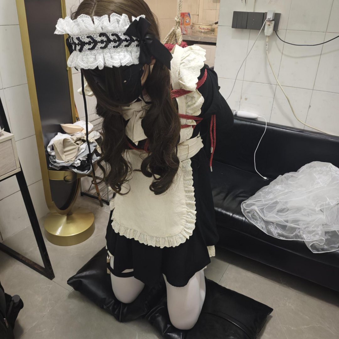 【追风的游戏】调教小女仆