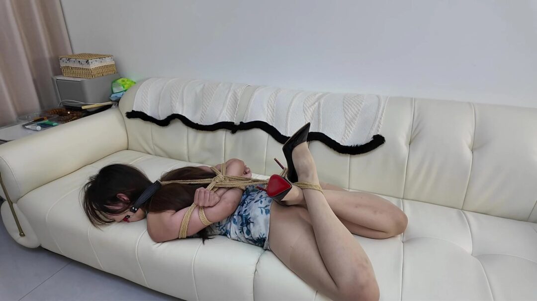包装袋里的少女 可可受虐记