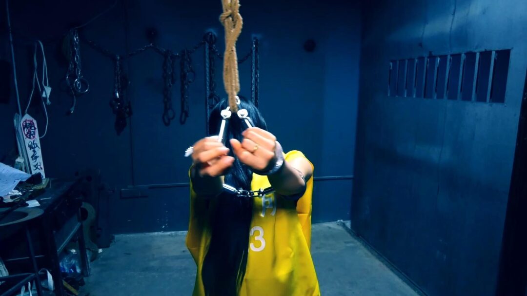 定拍转公映《深渊姐妹花》中集  妹妹被捕后拒不认罪诬陷x品是姐姐的在证据完整的情况两人双双获刑