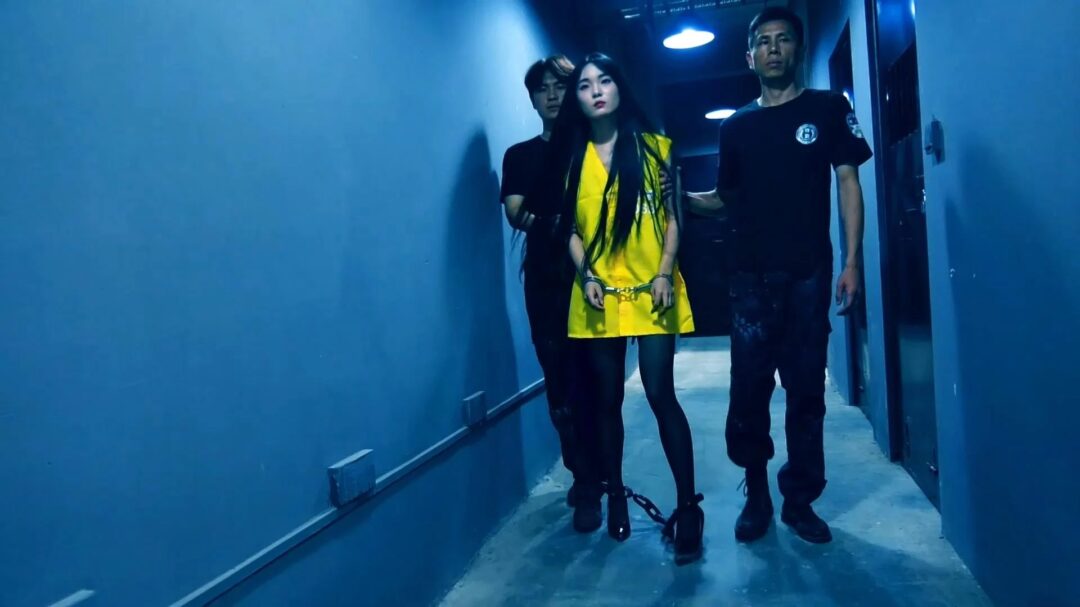 定拍转公映《深渊姐妹花》中集  妹妹被捕后拒不认罪诬陷x品是姐姐的在证据完整的情况两人双双获刑