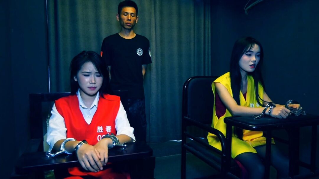 定拍转公映《深渊姐妹花》中集  妹妹被捕后拒不认罪诬陷x品是姐姐的在证据完整的情况两人双双获刑