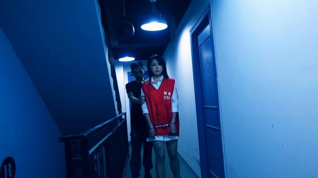 定拍转公映《深渊姐妹花》中集  妹妹被捕后拒不认罪诬陷x品是姐姐的在证据完整的情况两人双双获刑