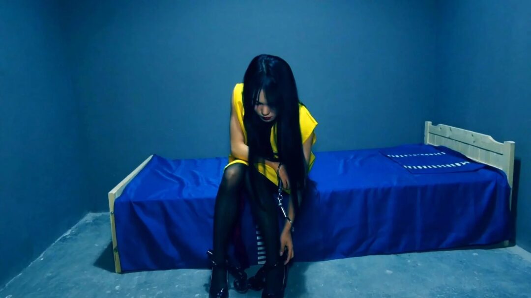 定拍转公映《深渊姐妹花》中集  妹妹被捕后拒不认罪诬陷x品是姐姐的在证据完整的情况两人双双获刑