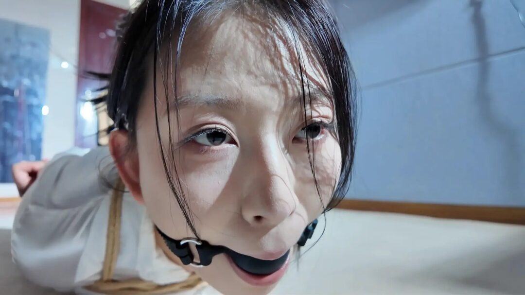 绳屋藏娇 定拍-白领魏灿驷马口球
