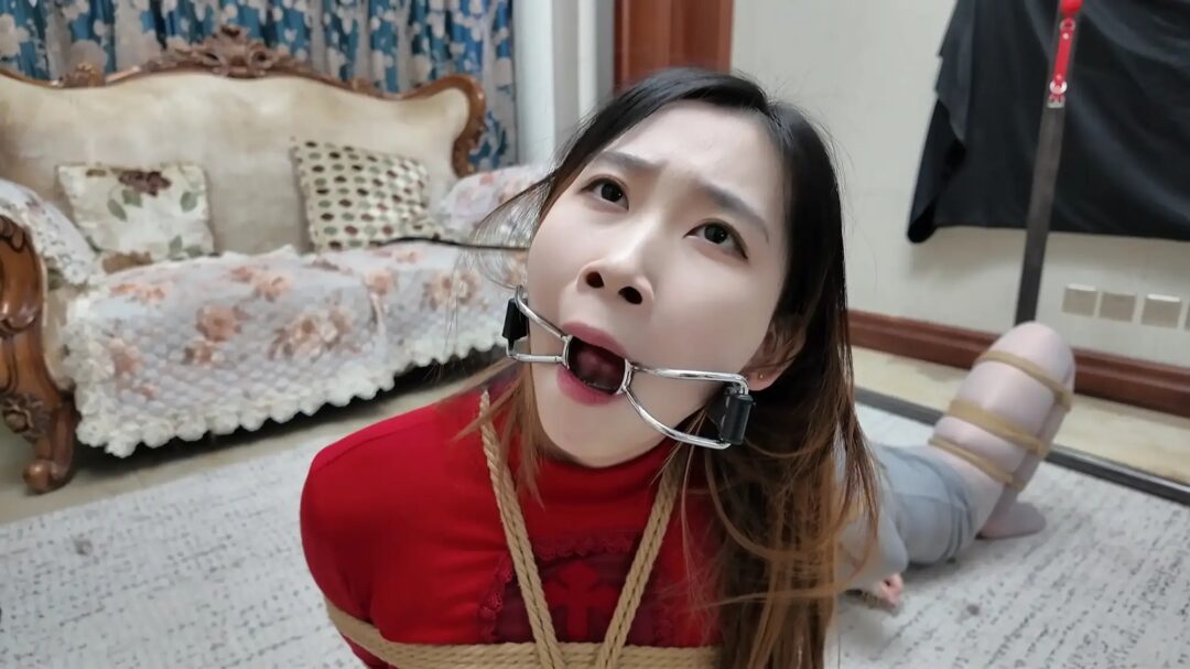 《彩虹与黑猫·新美人捕获主播篇》【红裙黑丝】【灰丝风韵】【直播展示】【游戏比拼】