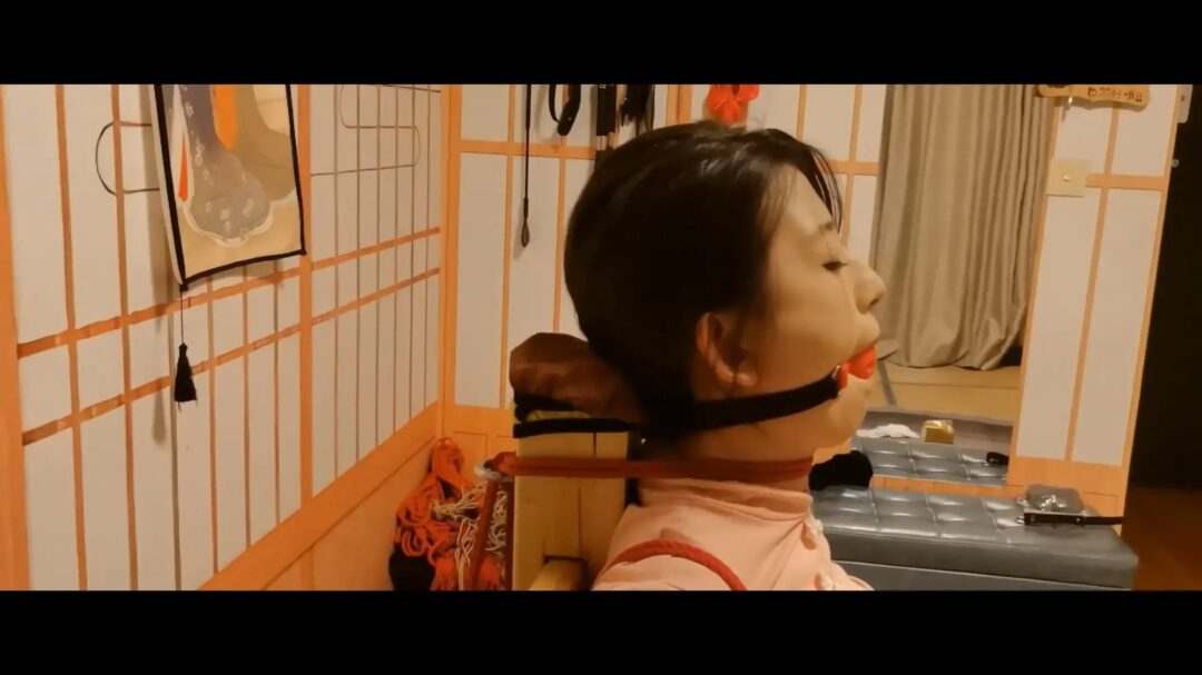 绳屋藏娇 约绳-魏灿