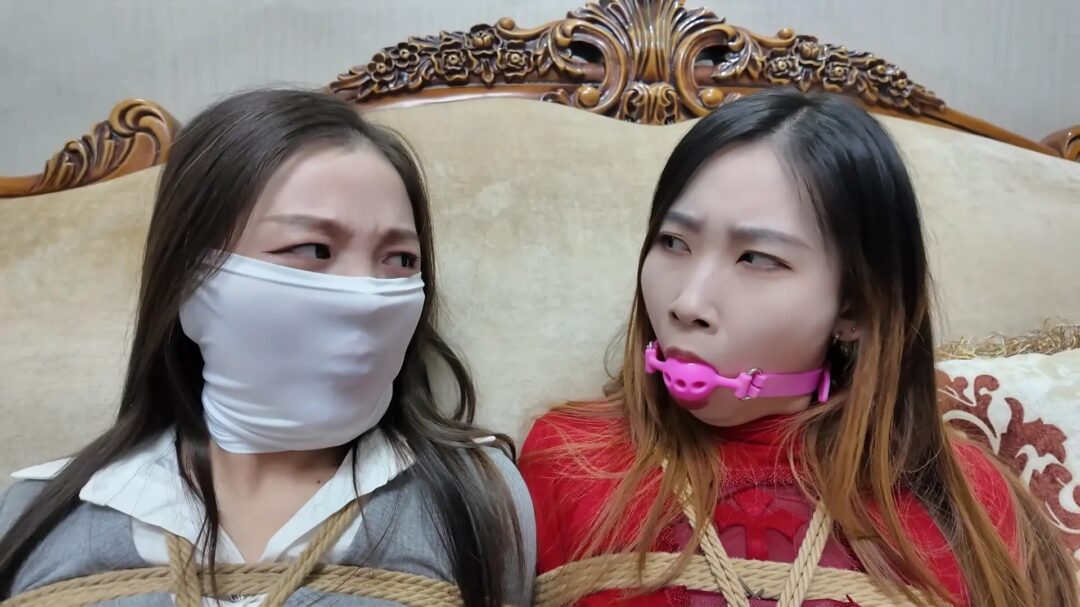 《彩虹与黑猫·新美人捕获主播篇》【红裙黑丝】【灰丝风韵】【直播展示】【游戏比拼】