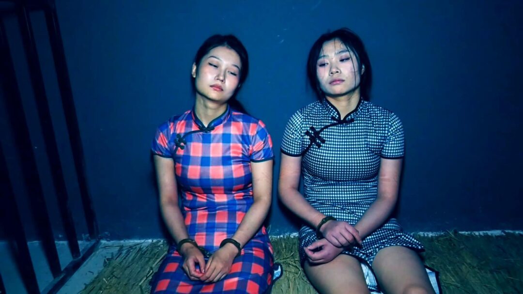 定拍转公映《潜伏的蝴蝶》下集 卧底打晕女特务逃跑未遂被女特务驷马吊缚在空中折磨后被押赴刑场英勇就义