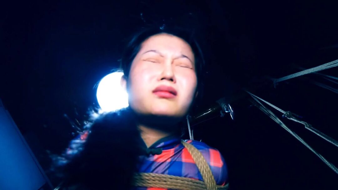 定拍转公映《潜伏的蝴蝶》下集 卧底打晕女特务逃跑未遂被女特务驷马吊缚在空中折磨后被押赴刑场英勇就义