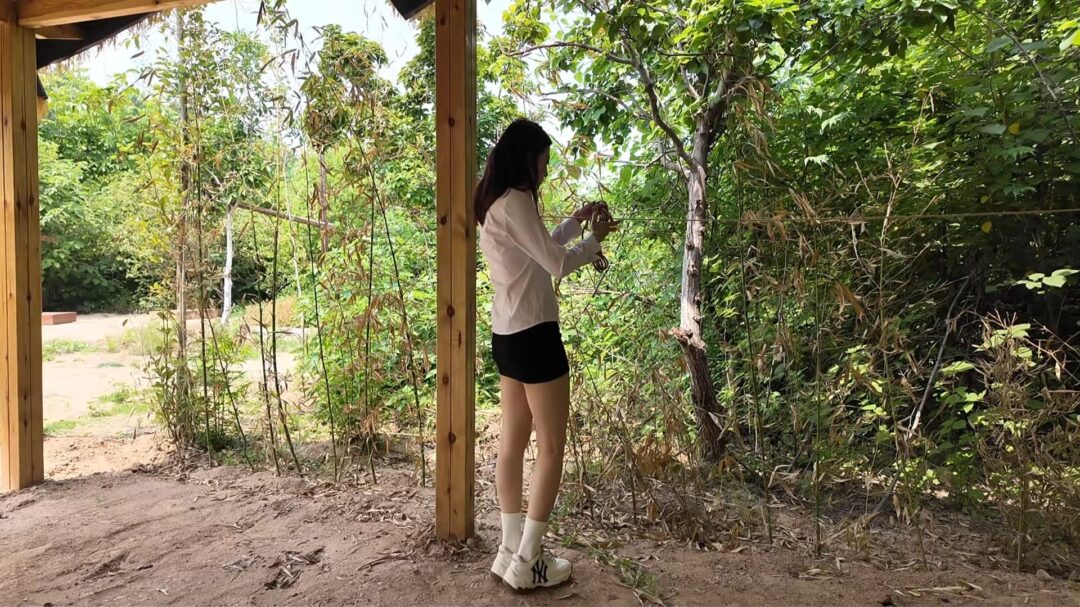 拍脚女主播之晓琴