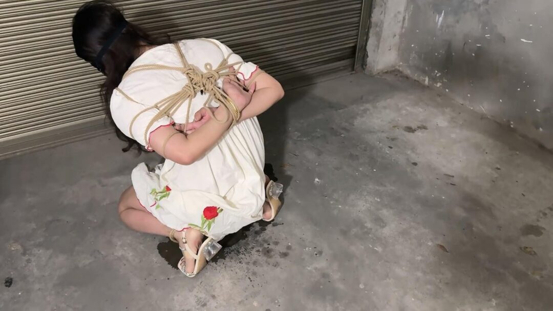 陷落的空姐