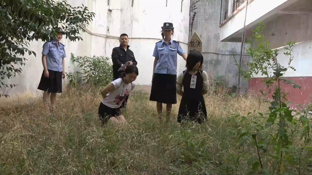 【梨花雨】城中桃李愁风雨 下集