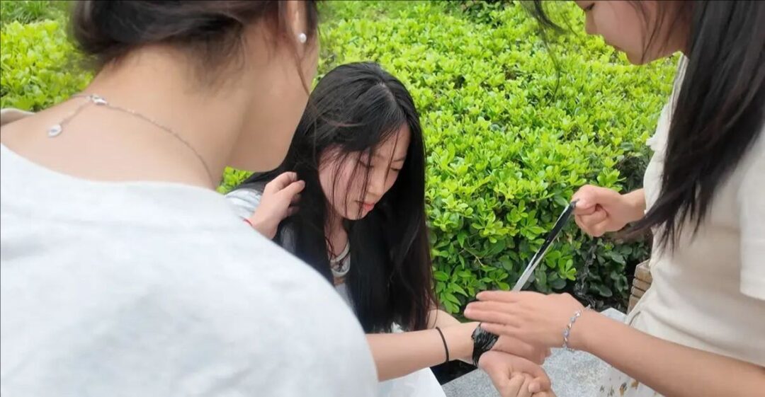正宫与小三的终极对质
