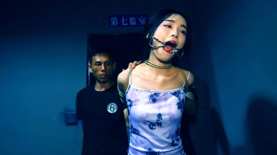 定拍转公映《深渊姐妹花》下集 判决以后妹妹谢雨雯被执行死刑姐姐谢雨欣在监狱劳动服刑改造