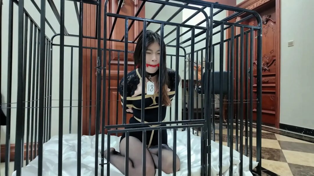 《缚美记·欢迎来到①⑧号车模婧伊的直播间》【经典黑丝】【可怜求饶】【清纯玉女】【长腿诱惑】