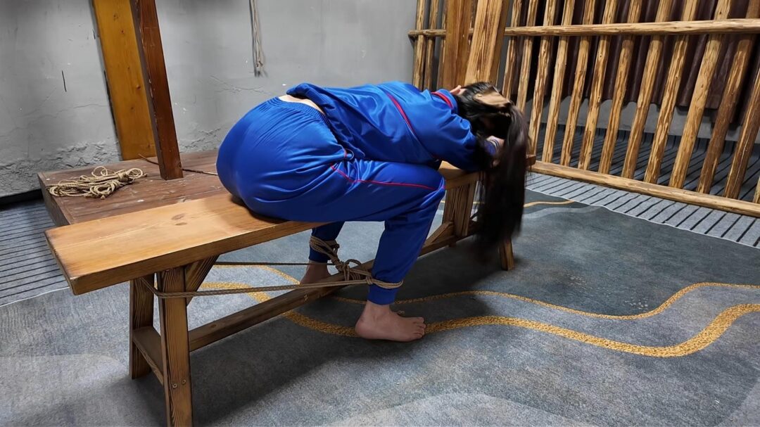 木马审讯佳佳