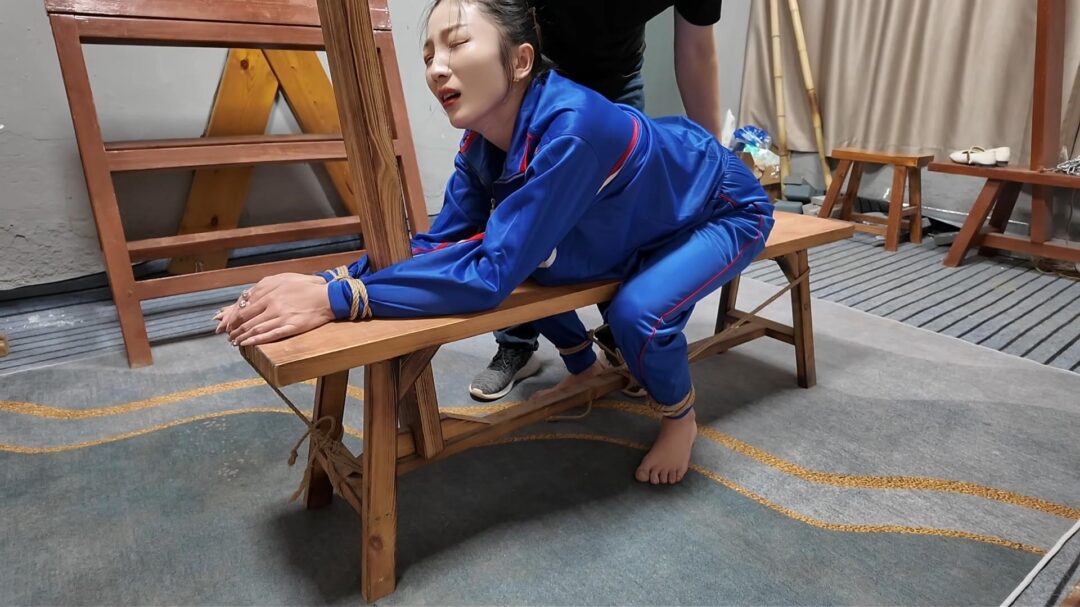 木马审讯佳佳
