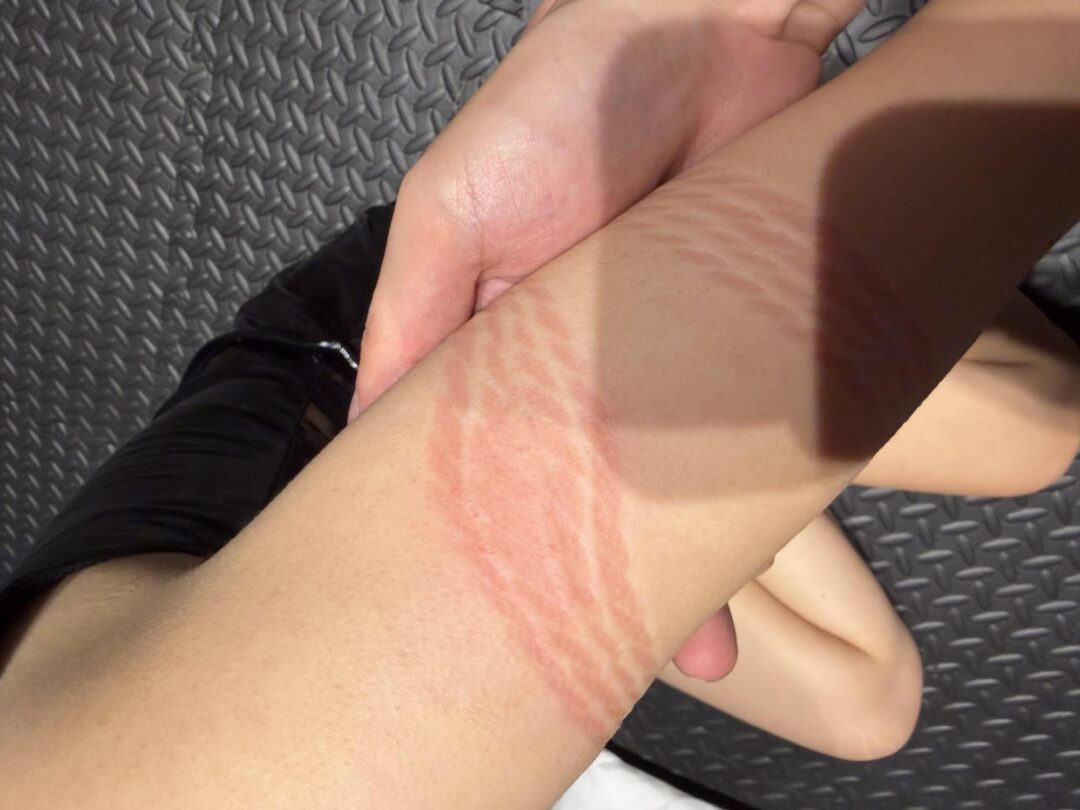 新模首次驷马放置