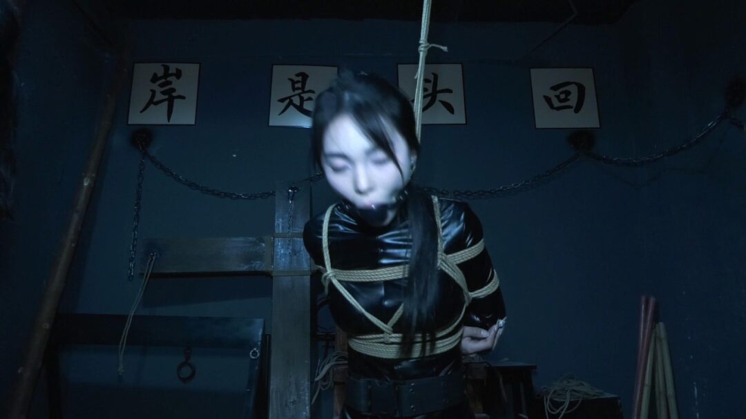 定拍转公映《特工历险记》上集 三名女特工潜伏匪徒基地收集证据不料被匪徒抓获在地牢遭受折磨