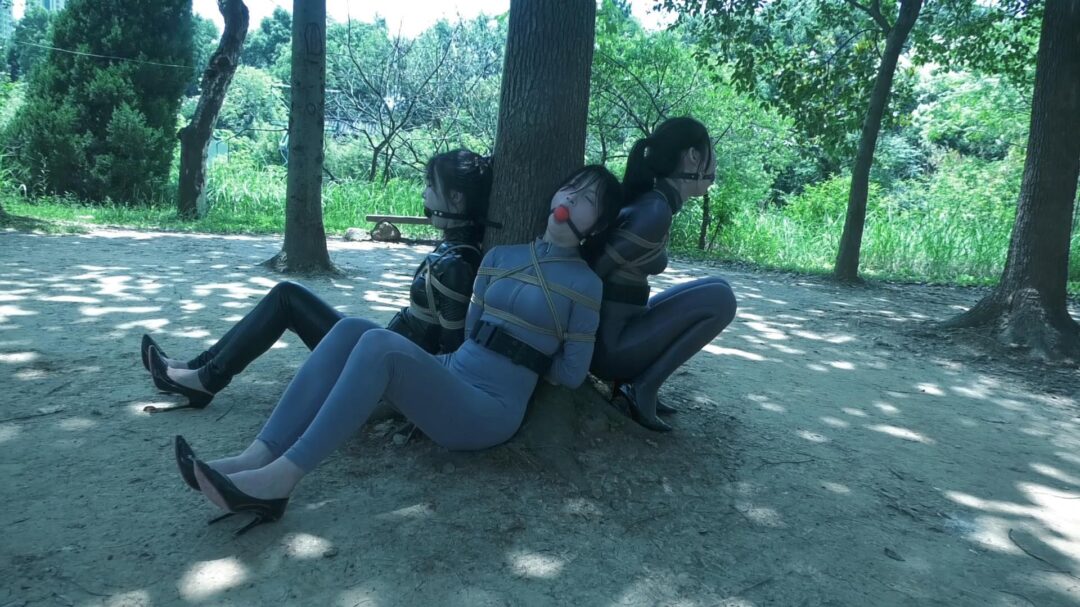 定拍转公映《特工历险记》上集 三名女特工潜伏匪徒基地收集证据不料被匪徒抓获在地牢遭受折磨