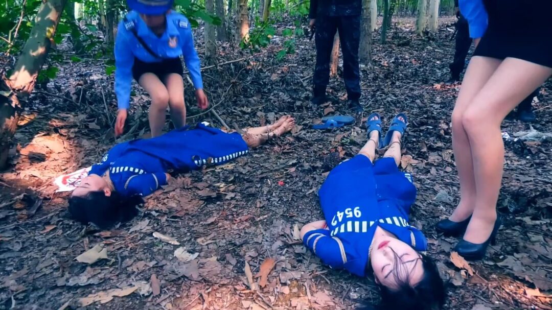 定拍转公映《毒蝎林潇琦末日》 第四集 毒蝎林潇琦和同伙被判死刑立即执行砸死镣五花大绑押赴刑场执行枪决