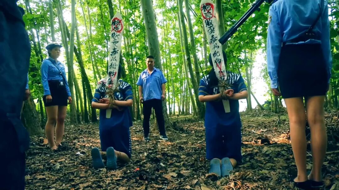 定拍转公映《毒蝎林潇琦末日》 第四集 毒蝎林潇琦和同伙被判死刑立即执行砸死镣五花大绑押赴刑场执行枪决