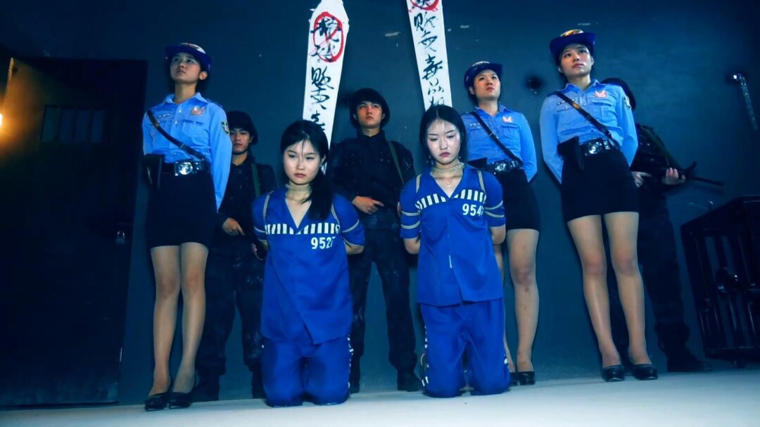 定拍转公映《毒蝎林潇琦末日》 第四集 毒蝎林潇琦和同伙被判死刑立即执行砸死镣五花大绑押赴刑场执行枪决