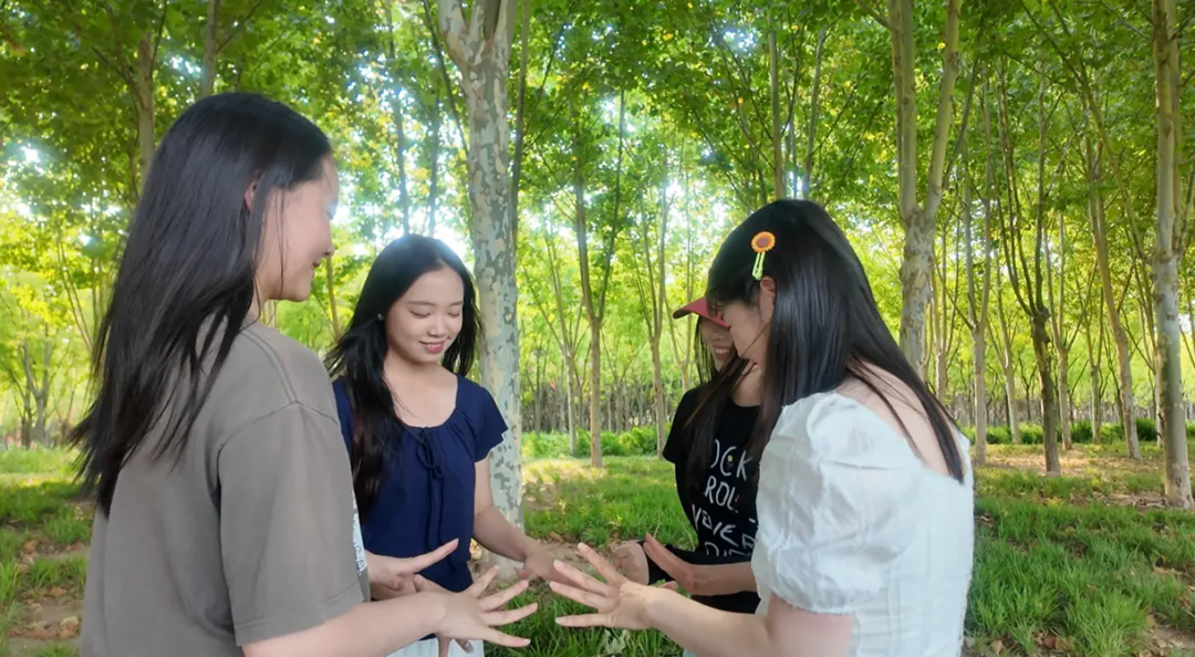 绳树之恋 户外
