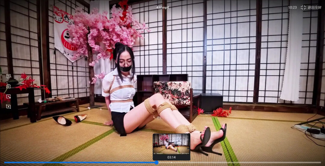 哈莉奎因工作室定拍集锦-封口缚