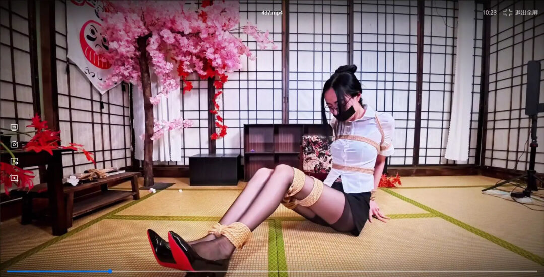 哈莉奎因工作室定拍集锦-封口缚