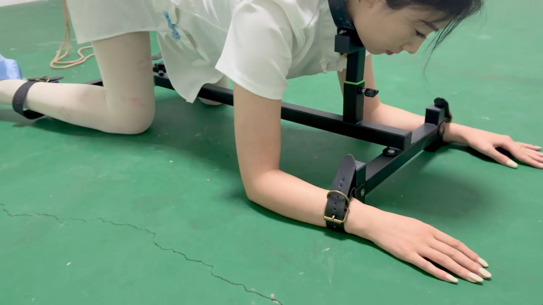 媚娘工作室-k9架折磨被逼飙脏话