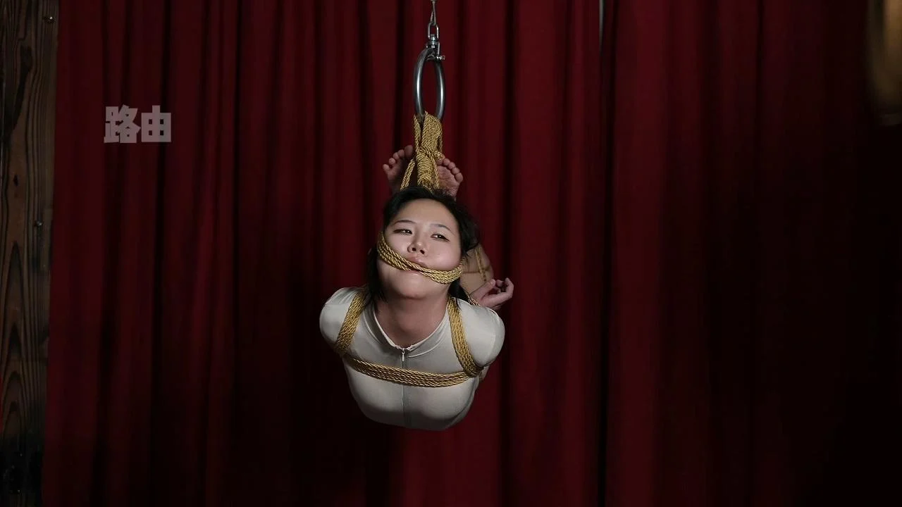 空中驷马 空中驷马