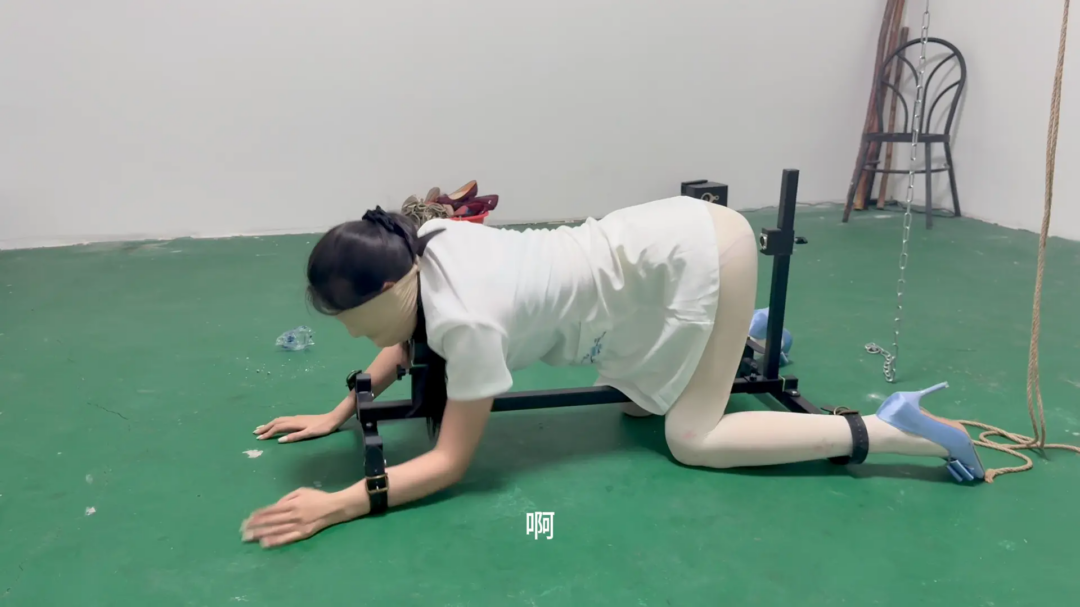 媚娘工作室-k9架折磨被逼飙脏话