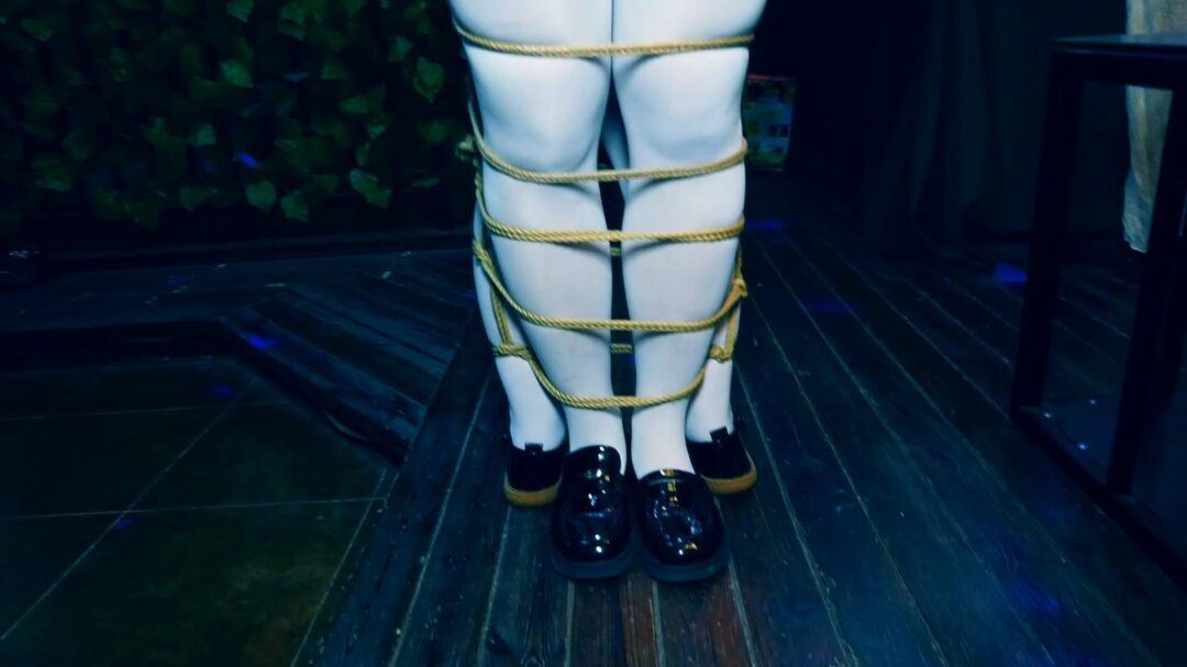 两个站不稳的女仆