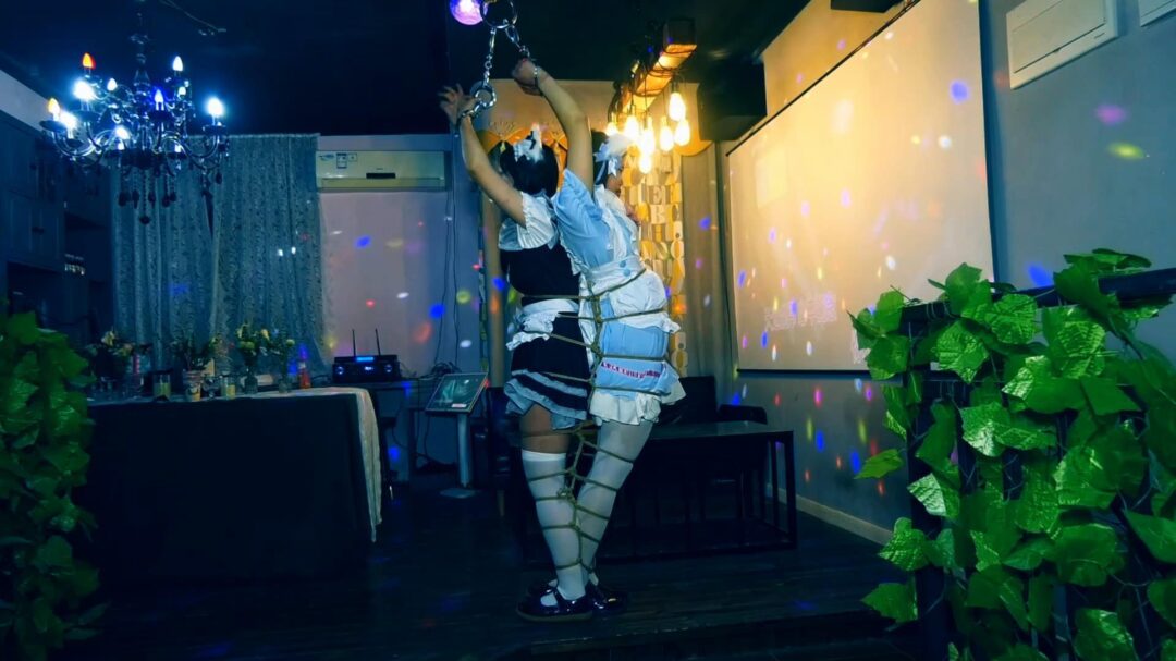 两个站不稳的女仆