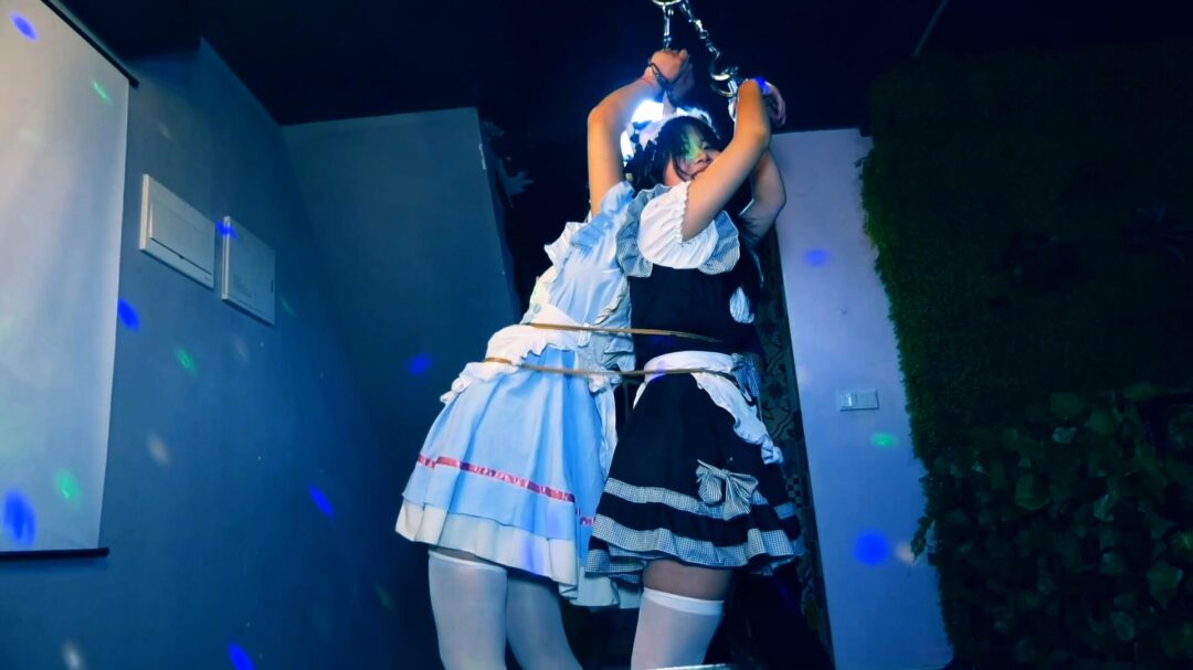 两个站不稳的女仆