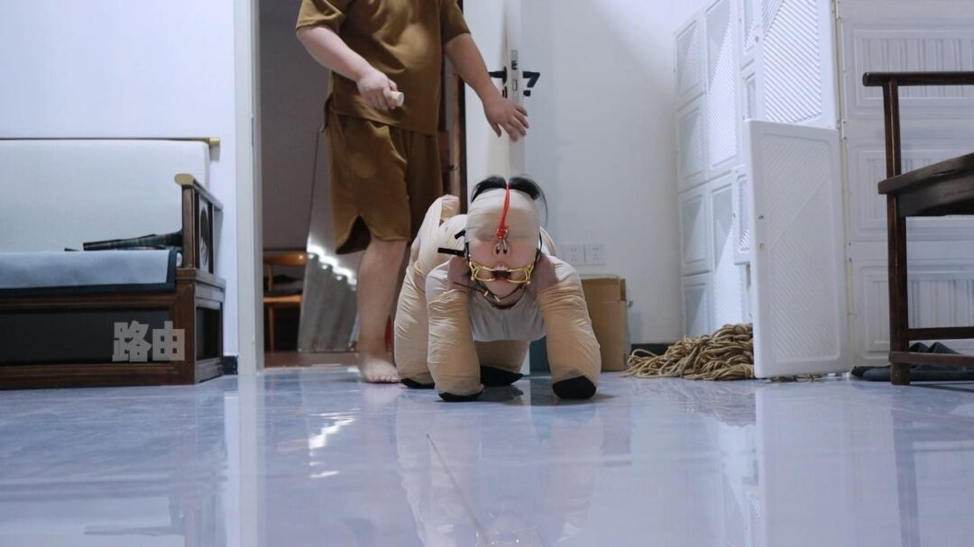 拴住的美人儿犬