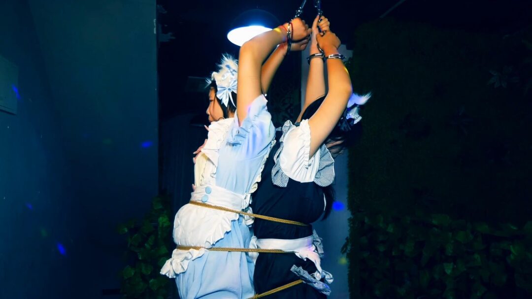 两个站不稳的女仆