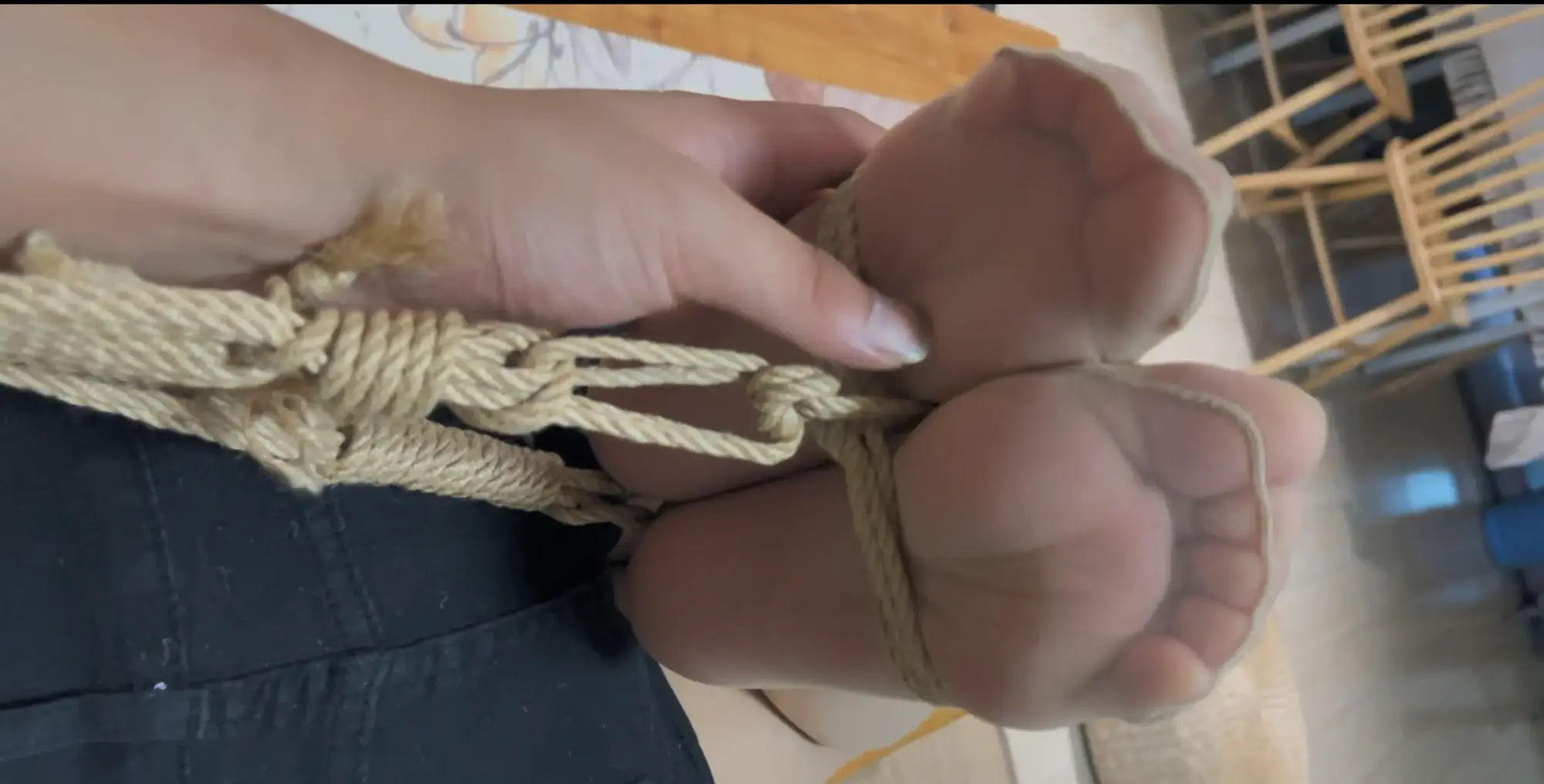 奥特曼模特一一 驷马放置